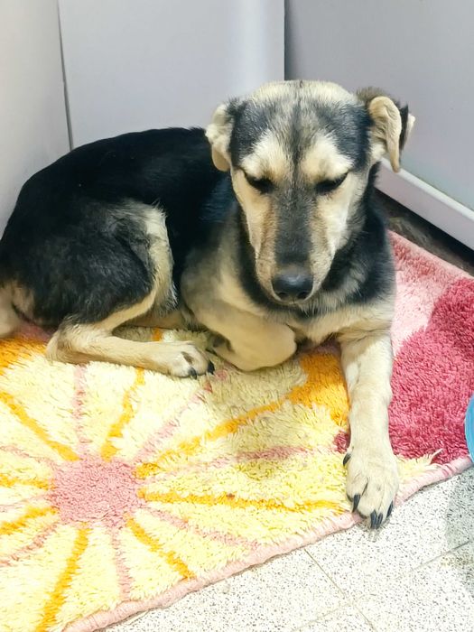 Zara, 6 месяцев, такая умная