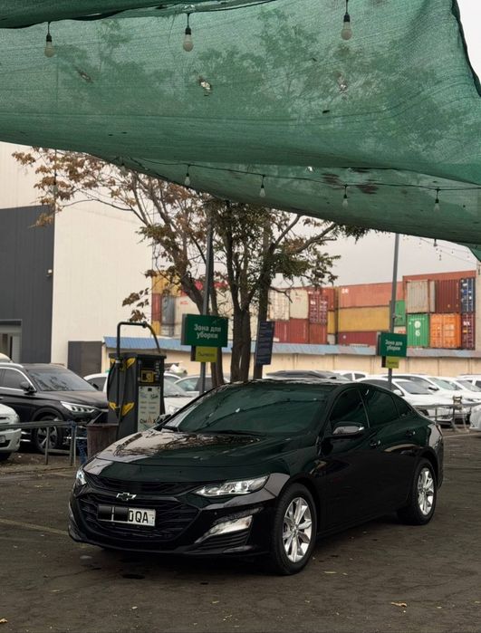 Malibu 2 qora 2023 krasska tozza