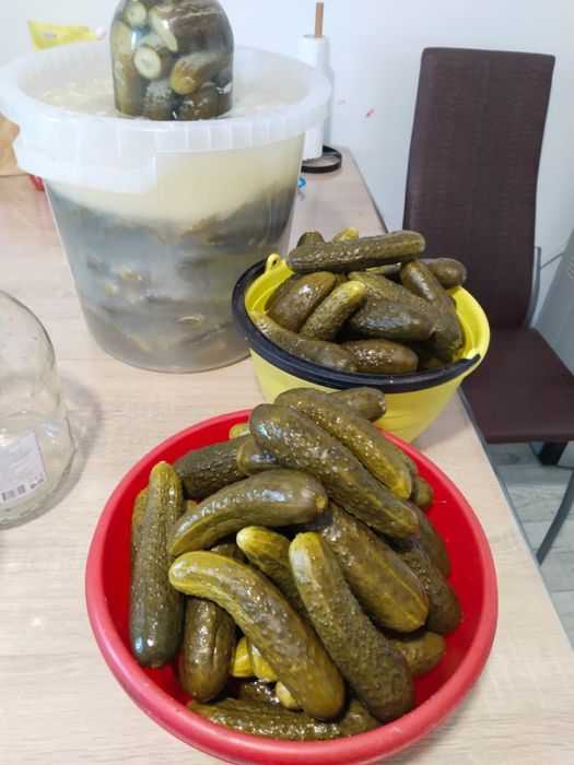 Квашенные огурцы