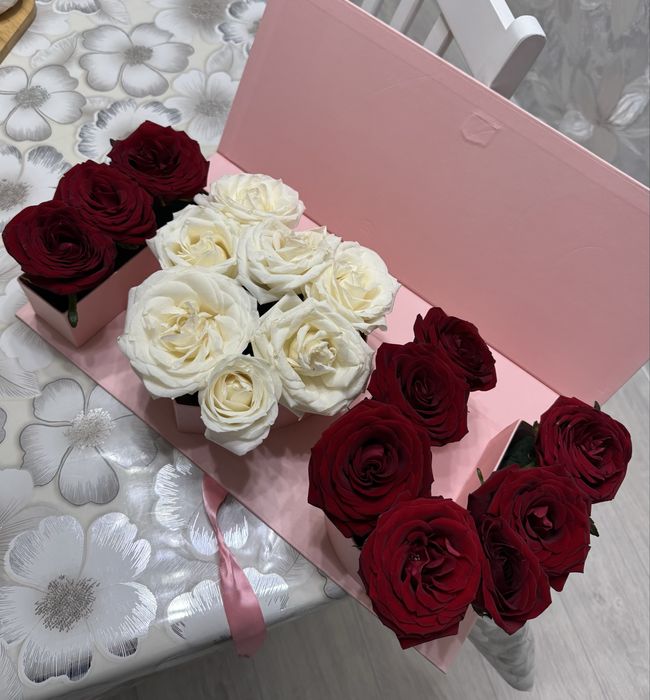 роза в коробке , свежие