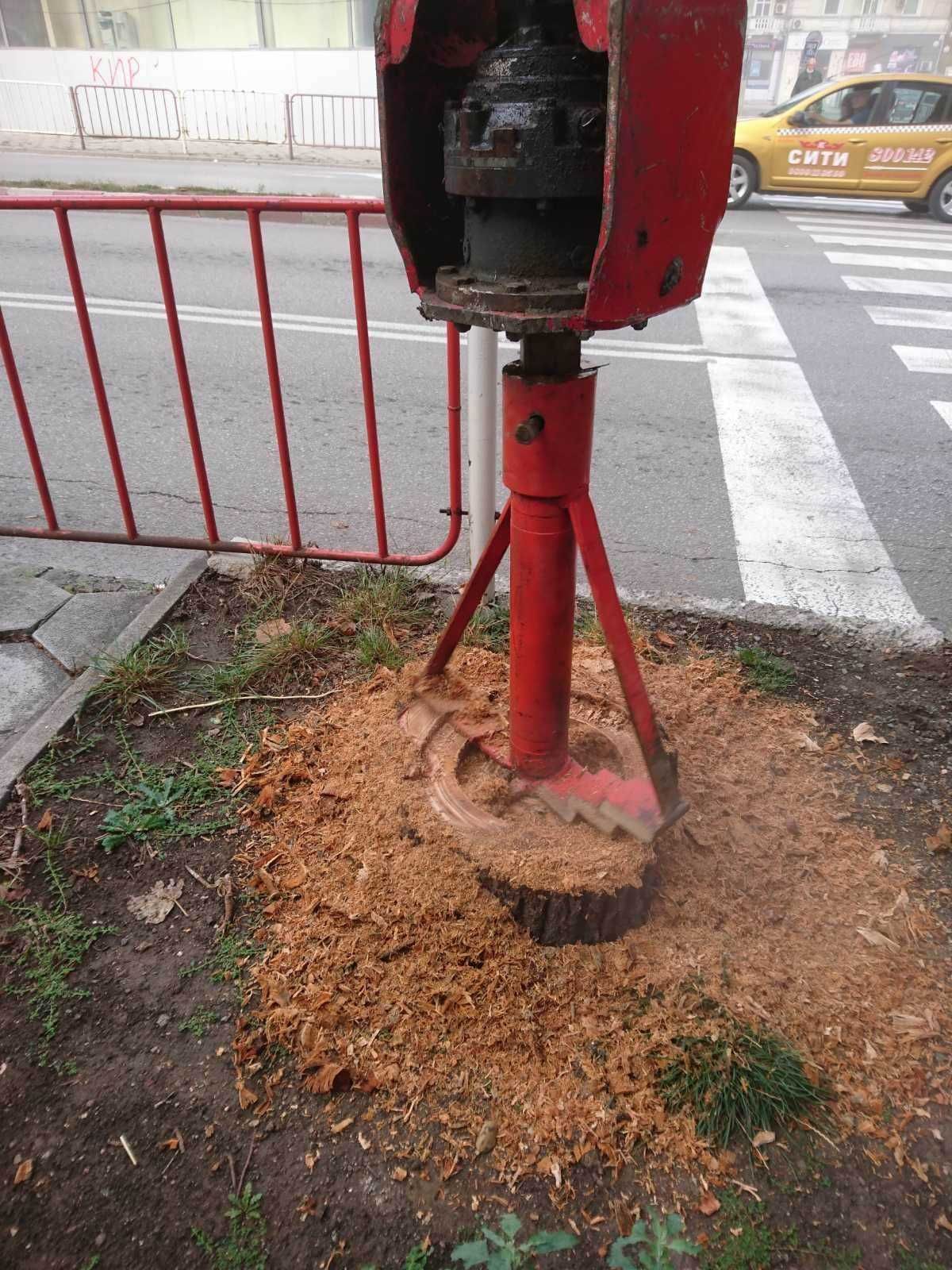 Изкореняване на лозя и фрезоване на пънове.