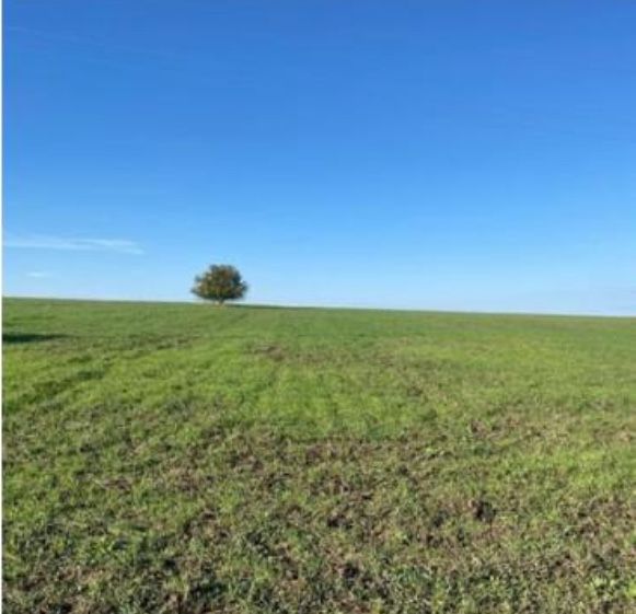 Teren Rediu Horlesti