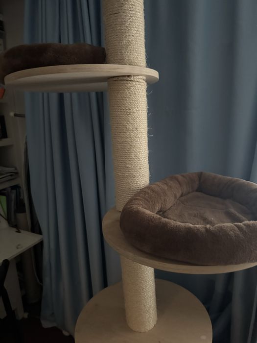 Vand turn pisici pentru apartament (inalt aprox 2,5 m)