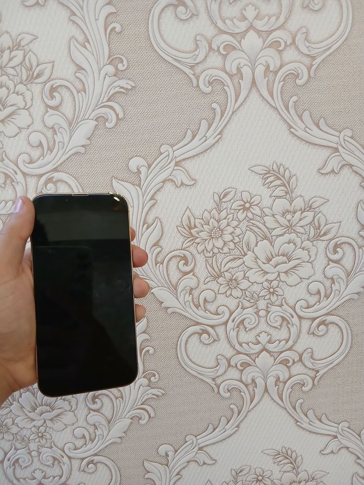 Iphone 13 pro ideal