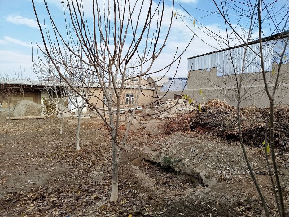 Yer uchastkasi. Hamma sharoit bor