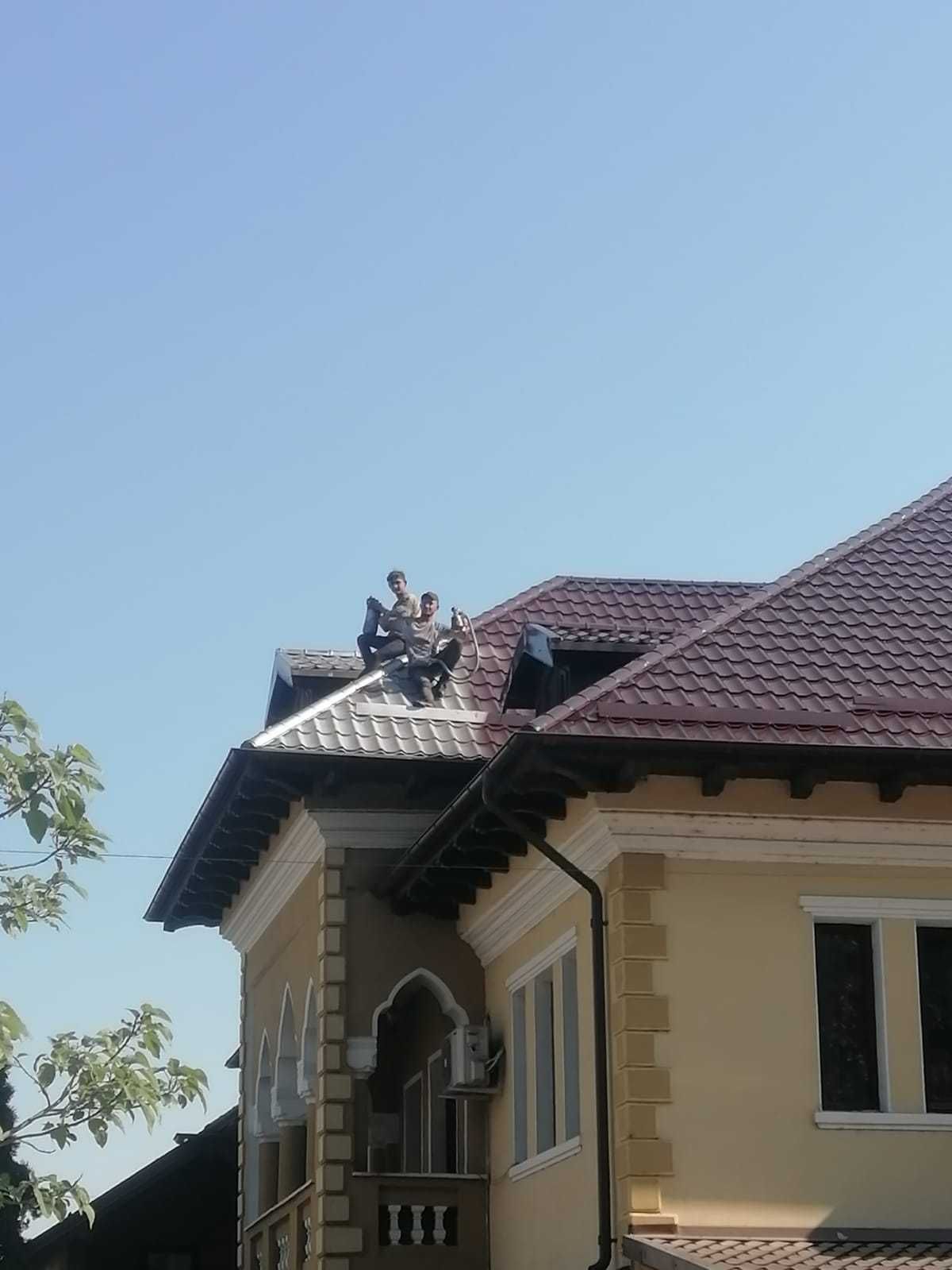 Vopsim orice tip de tabla pe casa, garduri, porti si alte suprafete