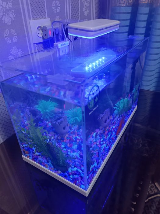 Аквариум сотилади