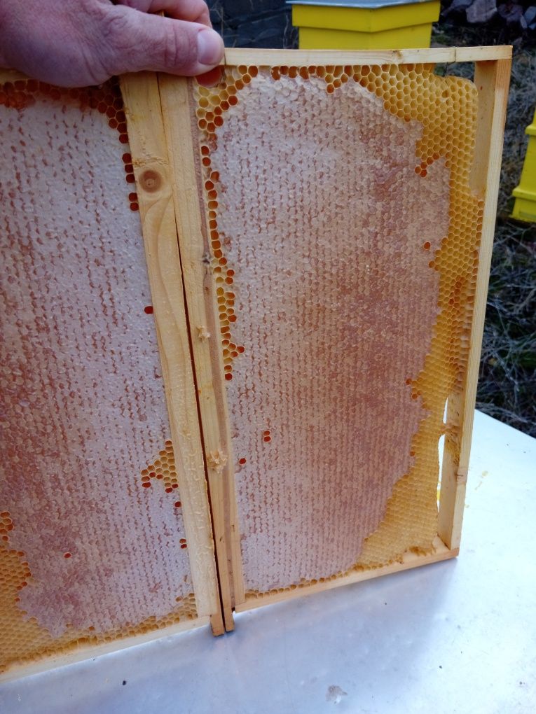 Пчелен Мед от Пчели