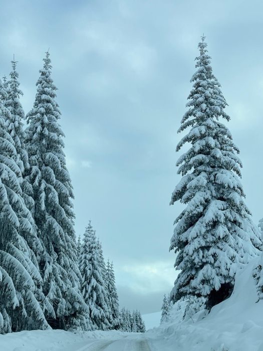 Volkswagen Passat Alltrack 2013, 4x4, ITP valabil, stare excelentă