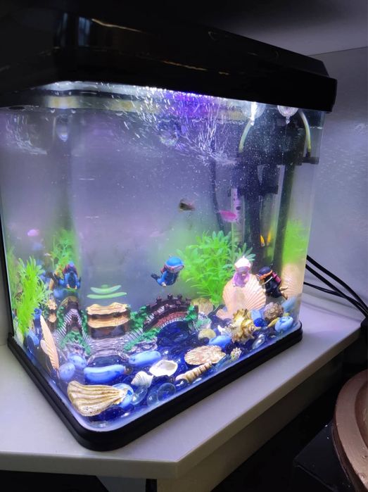 Аквариум RS Eleetrical 20L