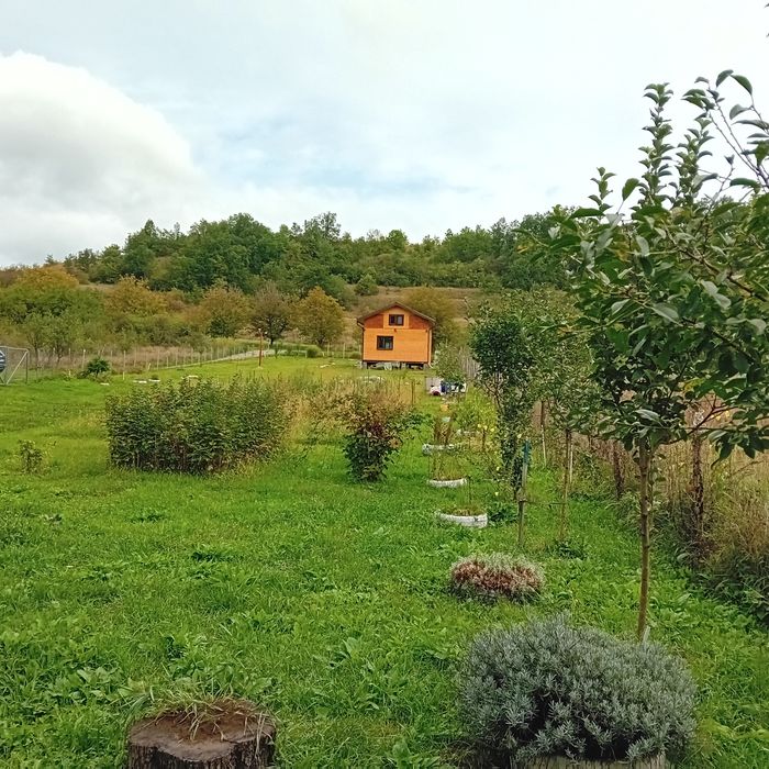 Teren cu cabană de lemn, de vânzare.