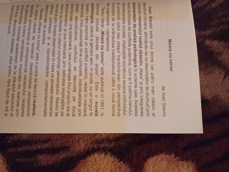 Bacalaureat Română