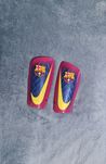 Футболни кори-FC Barcelona