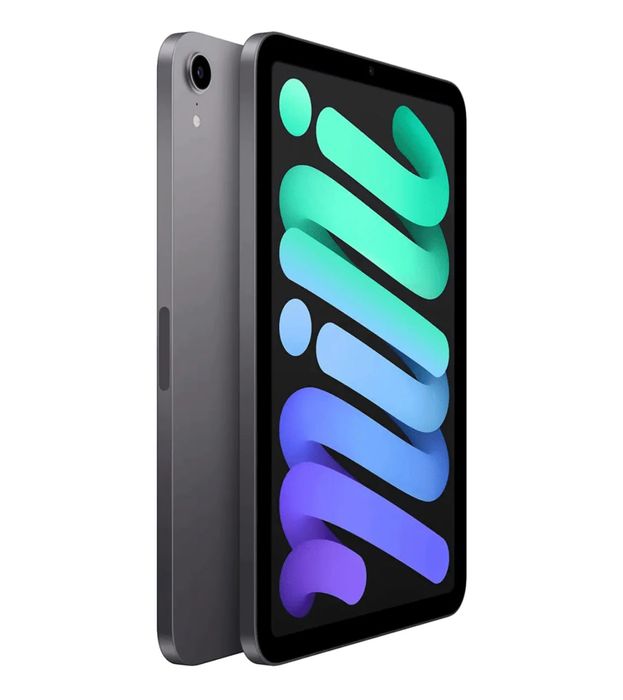 Apple iPad Mini 6 256GB Space Gray Wi-Fi+Cellular.