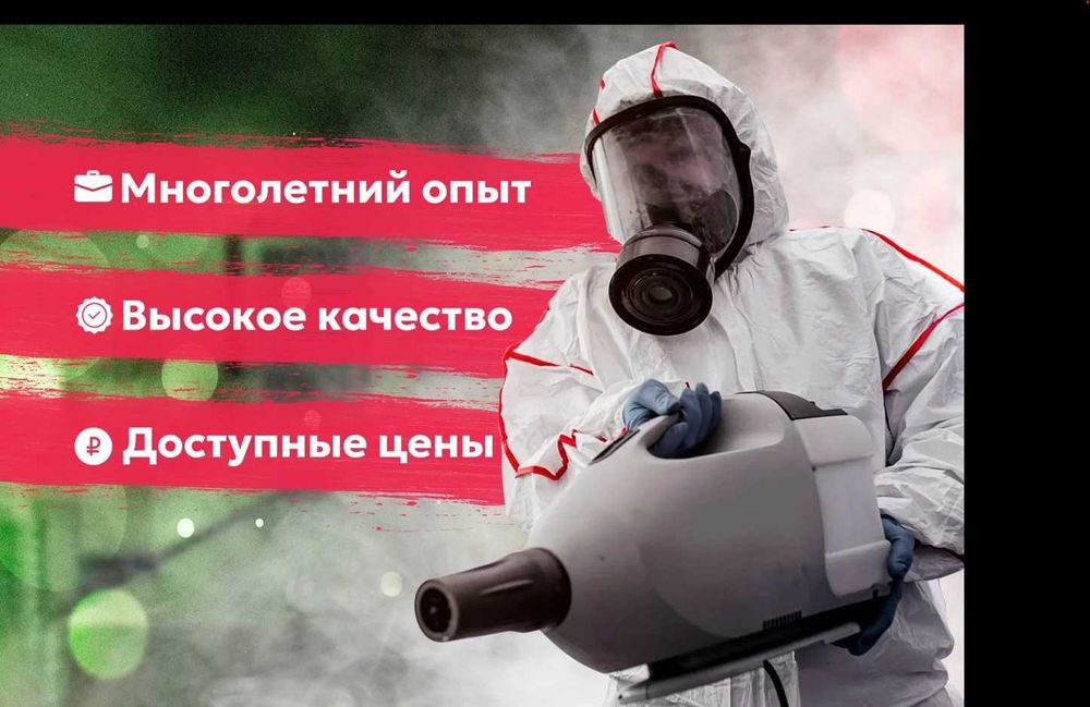 Скорпионов | Chayon | Чаен | дезинфекция дезинсекция dizinfeksiya