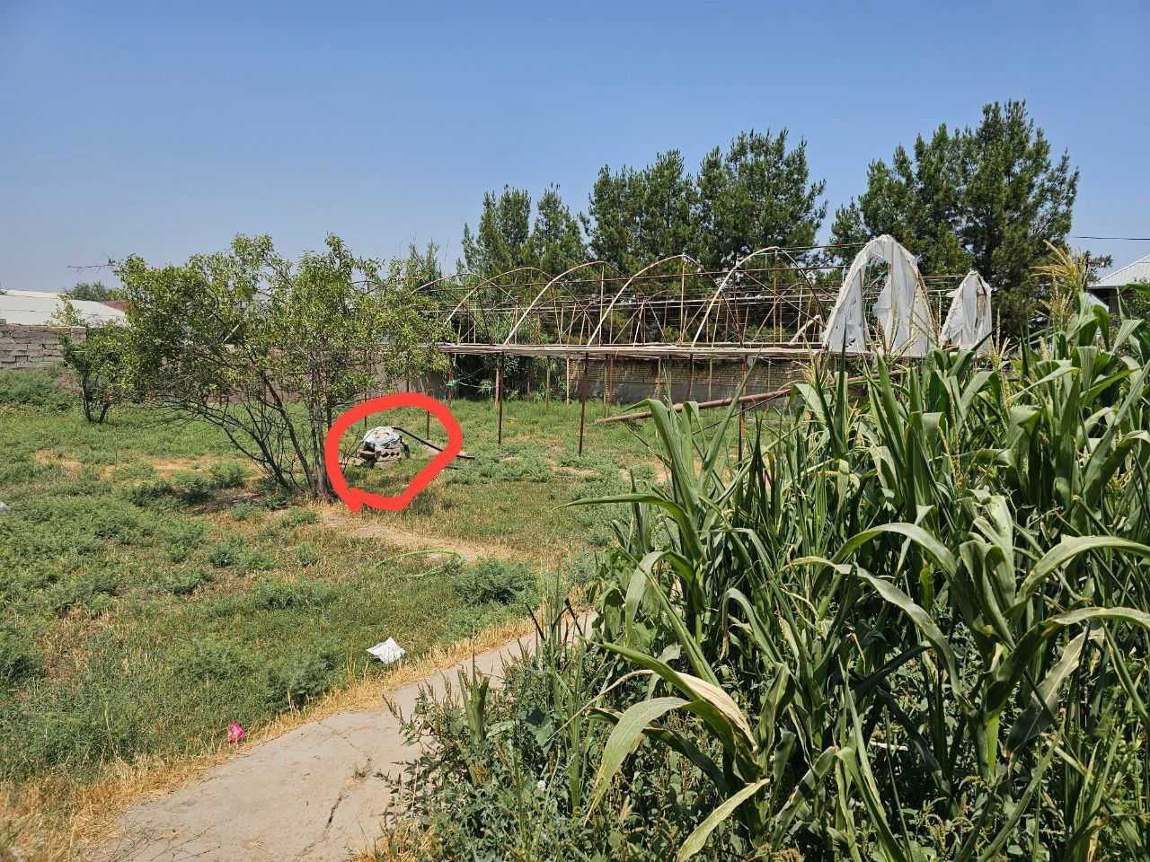 Yer hovli Mirmirondan