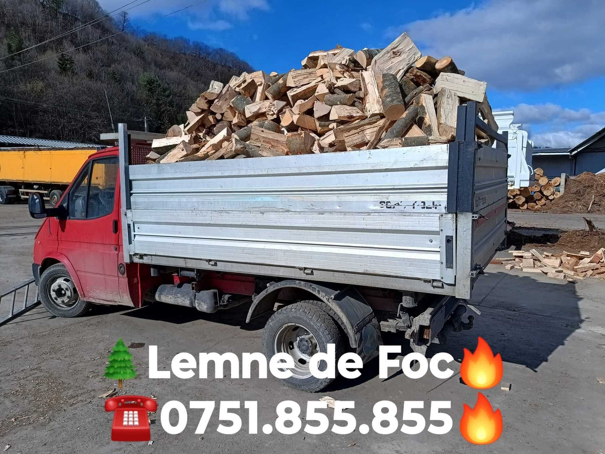 Lemne de foc fag cantitate corectă la pret corect