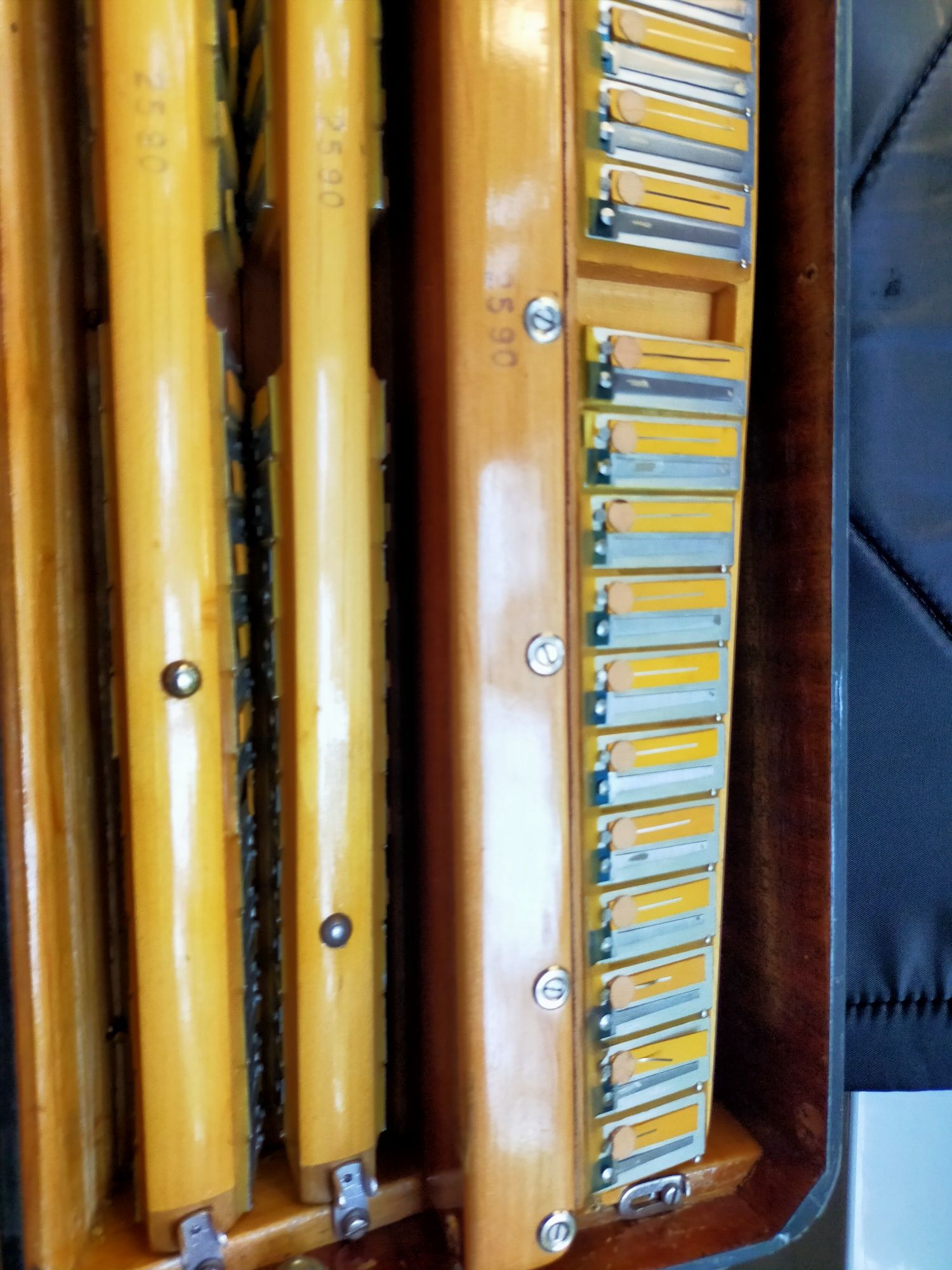 Vand acordeon Philharmonic 2+2