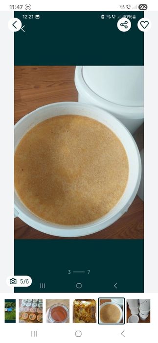 Miere de albine stupina la pădure