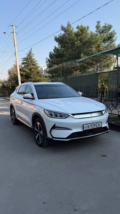 Byd song plus flegshp