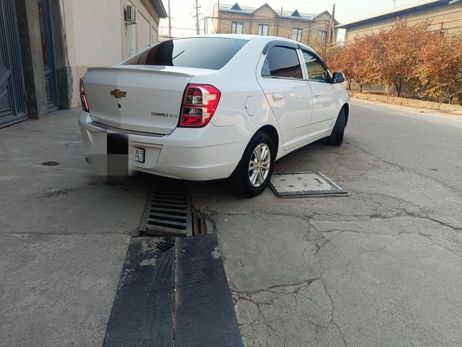 Kobalt srochna 1 pazitsa