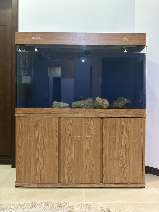 Аквариум акриловый 300 л с рыбами. Астронатусы 3 шт. Парчовые 2 шт.