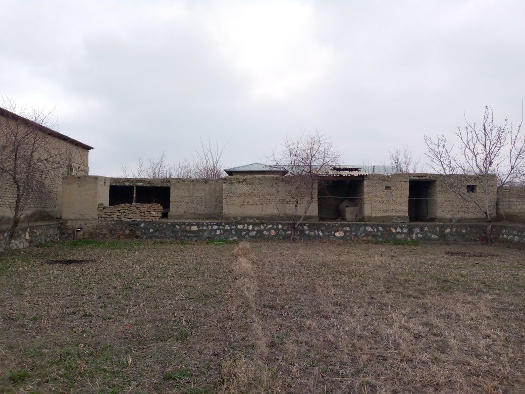 Navoiy viloyati Karmana tuman Jaloyir Nurafshon mahalla Hovli sotiladi