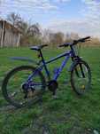 Bicicleta MTB Velors