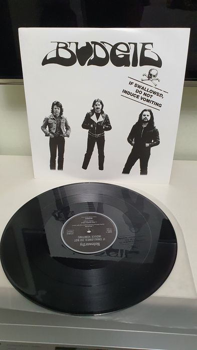 ВUDGIE  Новый  !