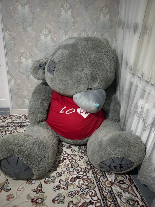 Продается Тедди