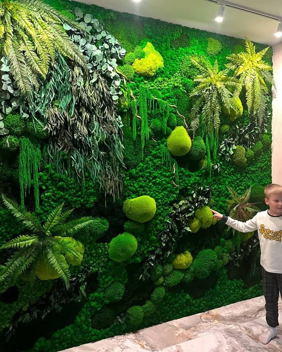 Живая зелёная стена из стабилизированного мха и растений люкс-класса