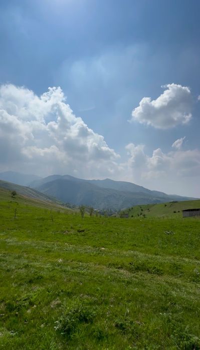 СУПЕР АКЦИЯ СРОЧНО. Земля 160 соток