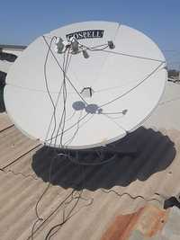 Antenna parobalik