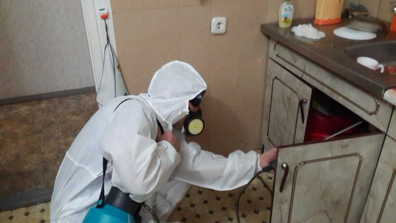 Dezinfeksiya kvartira ofis dom hovli klop klapa tarkan burga клоп блох