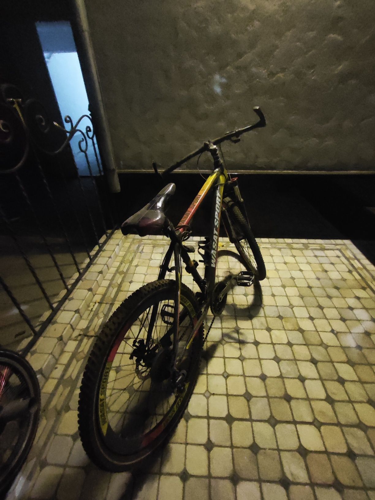 Velosiped wasat sport