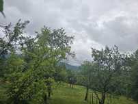 Teren intravilan Moisei