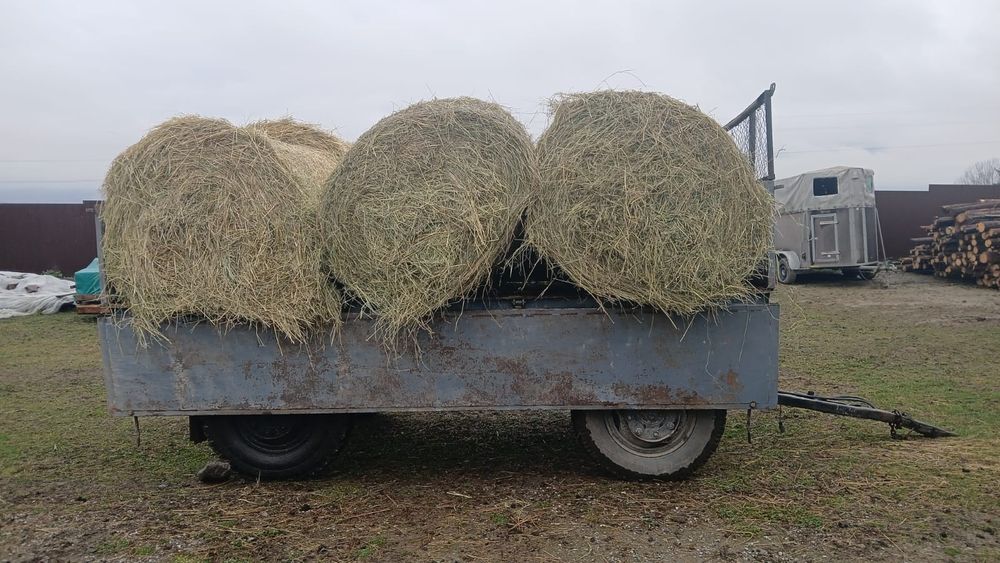 Baloti fan sau lucerna Rotunzi 40.Drept.500;Pomi Aluni Nuc.Castan.Afin