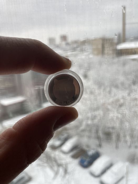 Shiba Inu Silver Coin /Dogecoin/