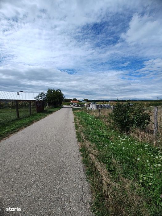 Teren intravilan Bacia,1700 de pătrați, utilitățile in apropiere