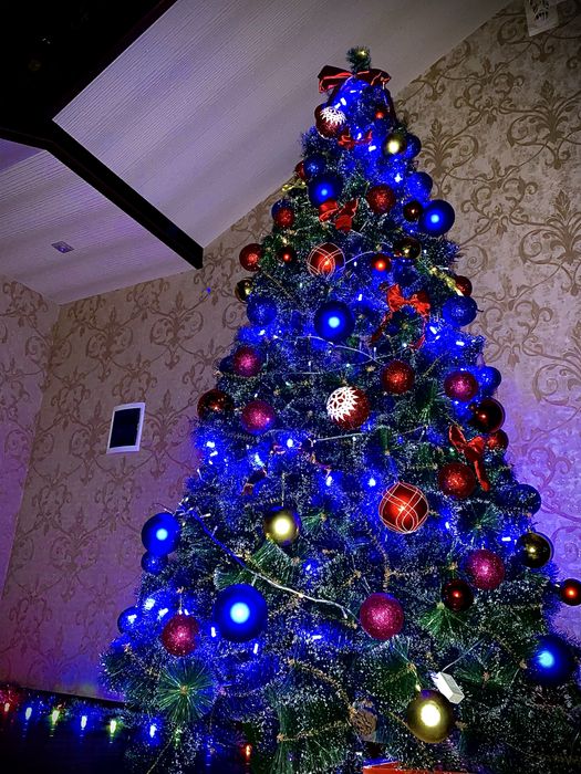 Елка арча продам 2,80-3