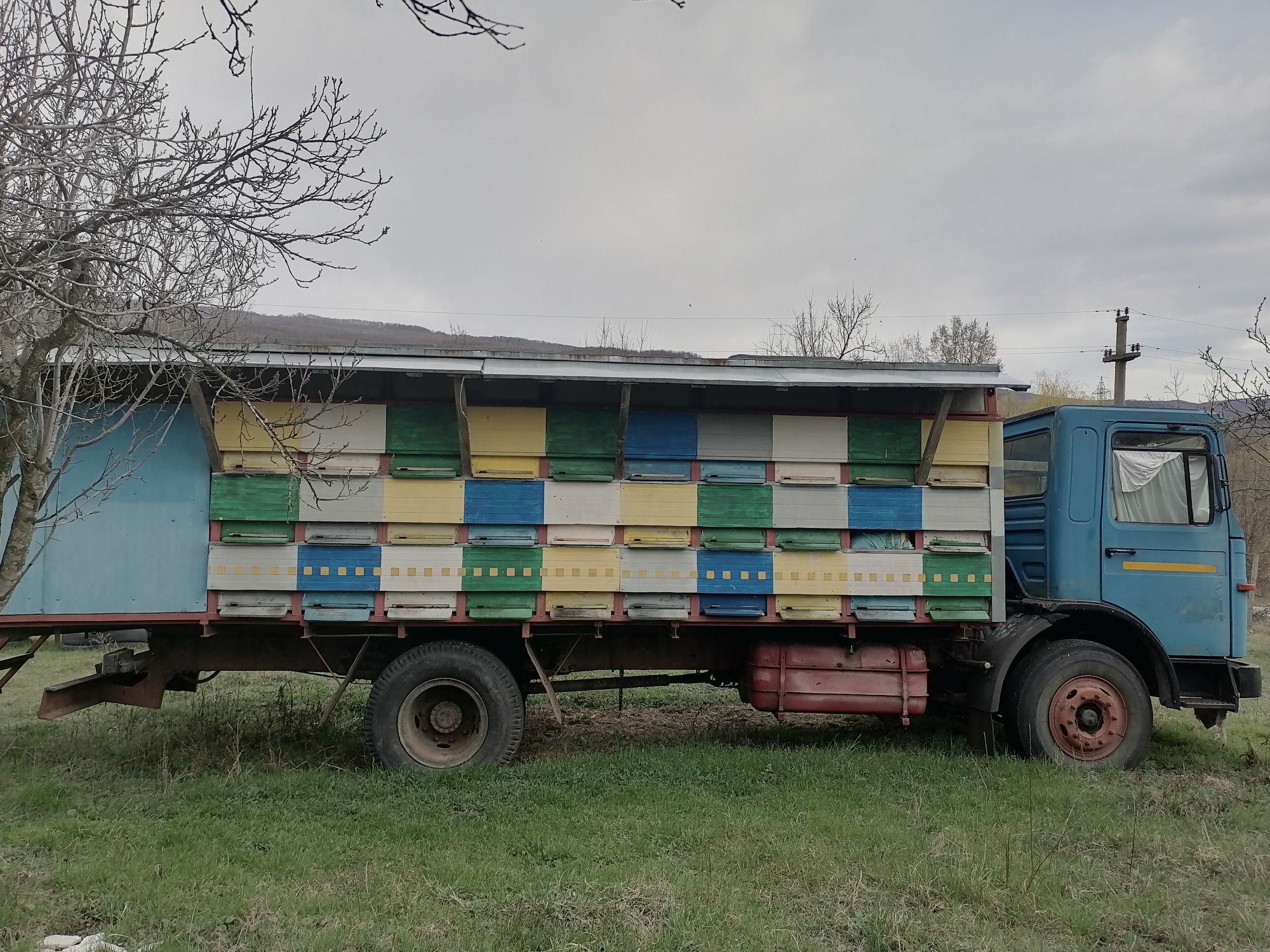 Camion apicol de vânzare