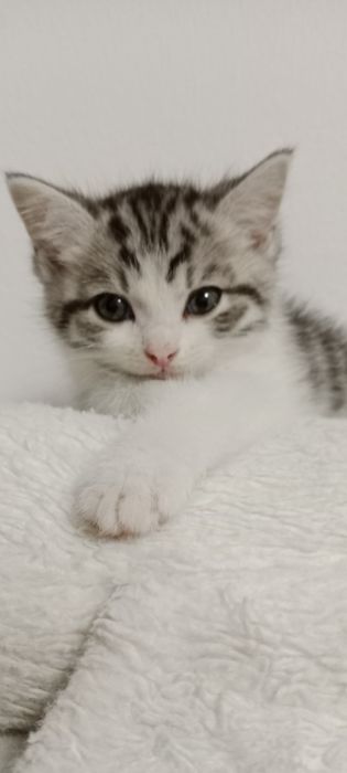 Очаровательный малышь,2 месяца