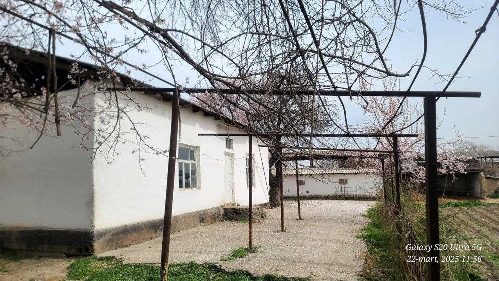 Uy sotiladi 45 sotix