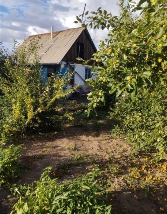 Продаётся дача посёлок Техснаб с засаженным огородом.