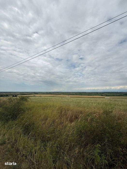 Teren intravilan 2000 mp de vânzare în Ardud, front stradal 36 m