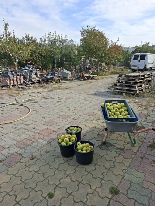 Vânzare teren Schela de jos Drobeta Turnu Severin