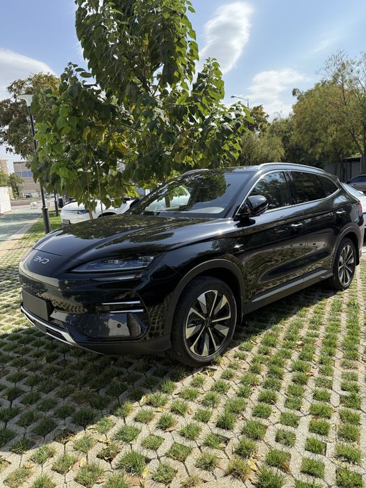 Byd champion smart pozitsiya