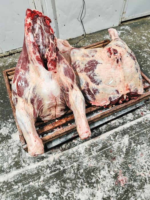 Мясо говядины конины баранина