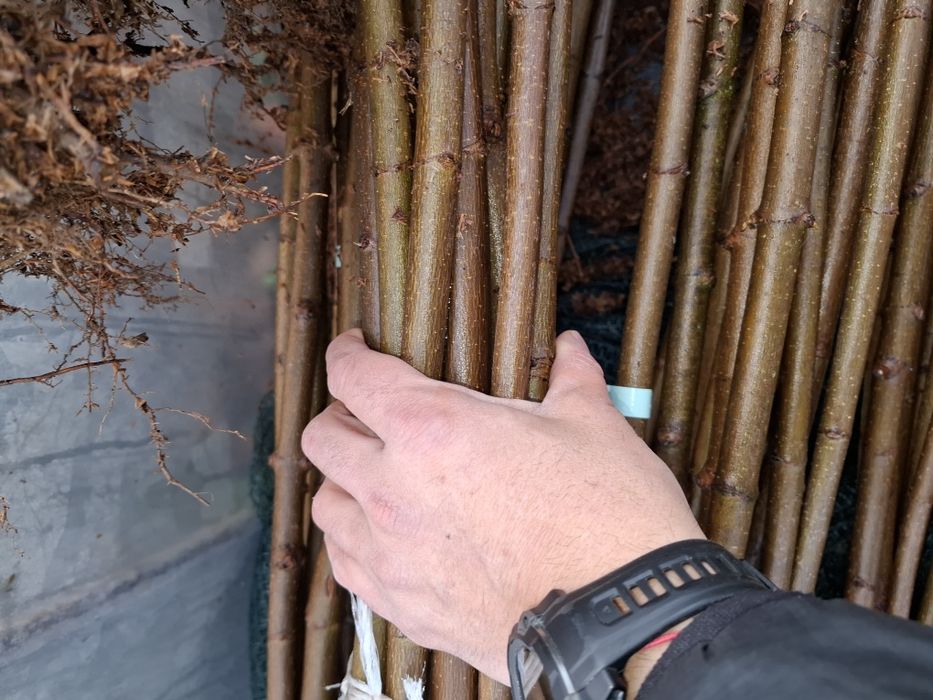 Кълбовиден шестил 200см