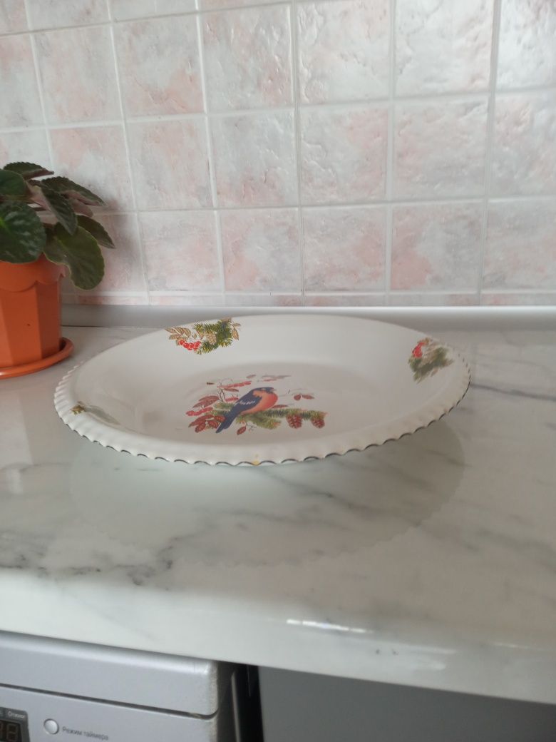Подрос эмалированый